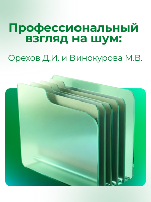 Профессиональный взгляд на шум: Орехов Д.И. и Винокурова М.В.