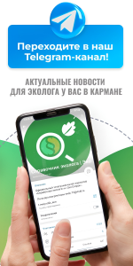 Телеграм